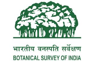 Botanical Survey of India